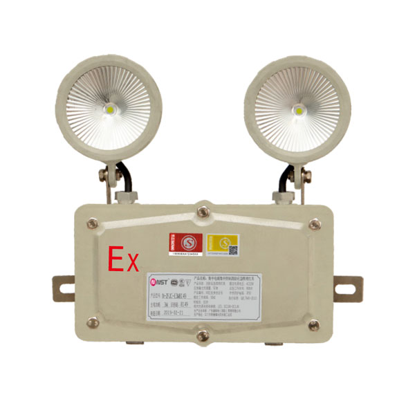 防水/防爆集控自带电双头灯