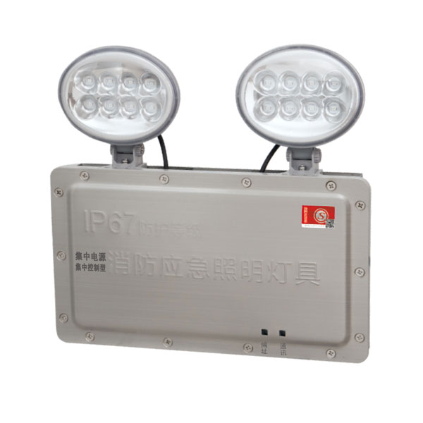 防水型集控集电双头灯