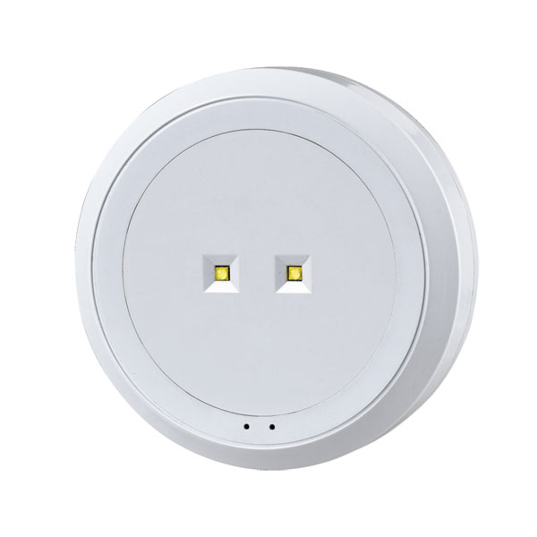 仿烟感型双珠集控集电照明灯